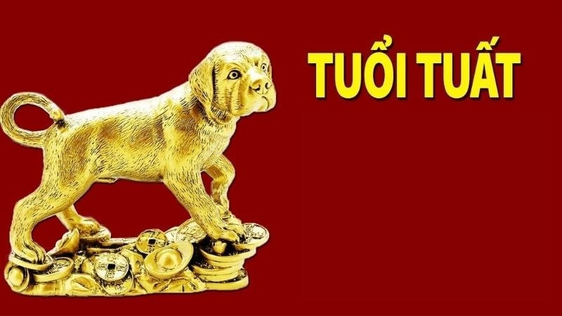 Tuổi Tuất sinh năm bao nhiêu? Tính cách, sự nghiệp và tử vi từ A-Z