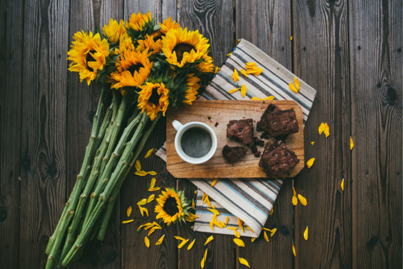 Ý nghĩa của hoa hướng dương